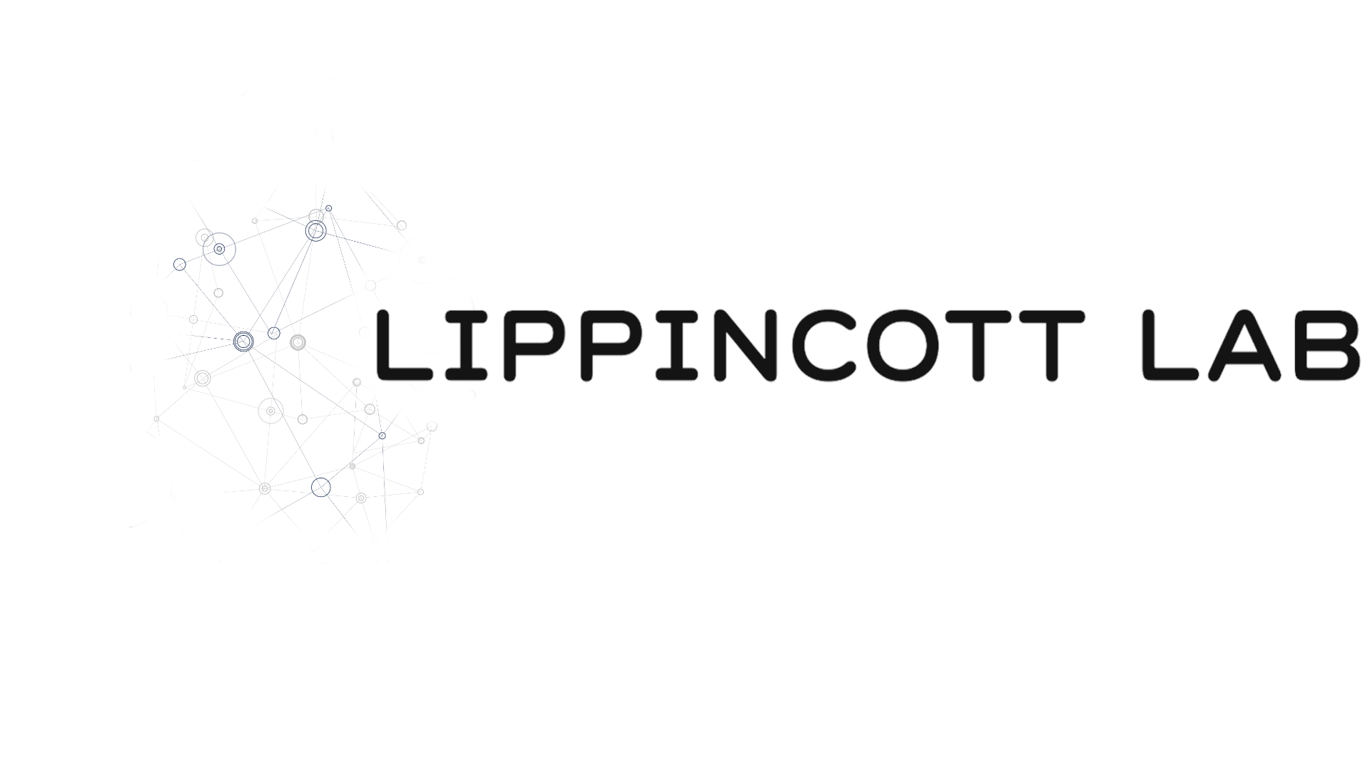 Lippincott Lab